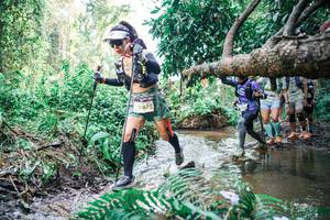 BIB: 
                            <button type="button" onclick="openModal(25477326)" class="btn btn-primary btn-sm float-right btn-popup" data-toggle="modal" data-target=".modal-high-quality">
                        <i class="fas fa-shopping-cart"></i> Add to Cart
                    </button>
                                            <button type="button" onclick="isThisMe(25477326, true)" class="btn btn-success btn-sm float-right btn-popup btn-isme hidden" data-toggle="tooltip" data-placement="bottom" title="นี่คือรูปของคุณใช่ไหม คลิกที่นี่เพื่อเอาเข้าอัลบั้ม">
                        <i class="fas fa-plus"></i> Add to album
                    </button>
                    <button type="button" onclick="isThisMe(25477326, false)" class="btn btn-warning btn-sm float-right btn-popup btn-isnotme hidden">
                        <i class="fas fa-ban"></i> Remove from album
                    </button>